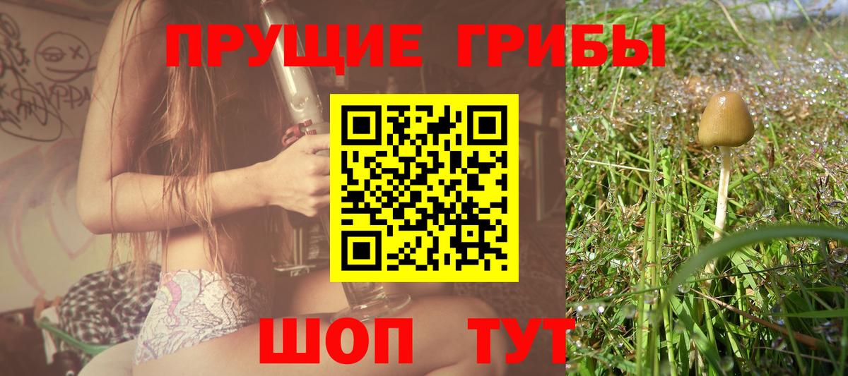 Галлюциногенные грибы Cubensis  Псилоцибиновые грибы ЛСД  Новошахтинск  Вход с VPN 